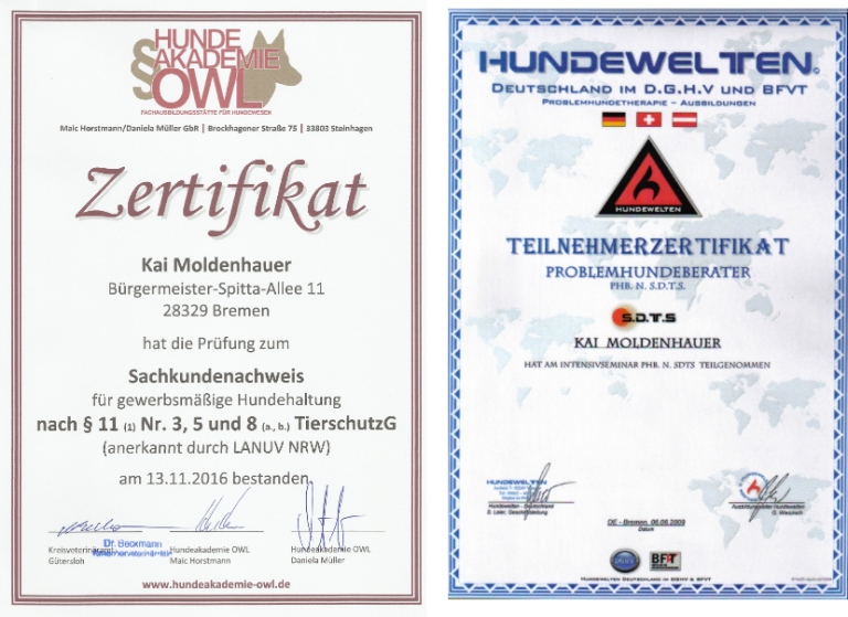 Zertifikate für Hundetraining mit Details zu Prüfungen und Gültigkeit.